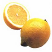 citrusgimmick1p