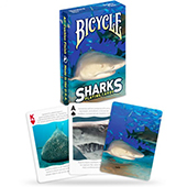 bicyclesharkp