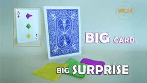 BIG CARD - BIG SUPRISE - Sorcier