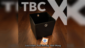 TBC X - Luca Volpe and Alan Wong