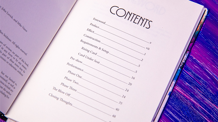 Principles of Destruction - Ben Seidman – Image 2