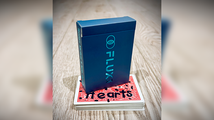 Flux 2.0 - Roddy McGhie and Noel Qualter – Image 2