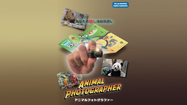 Animal photographer – Image 2