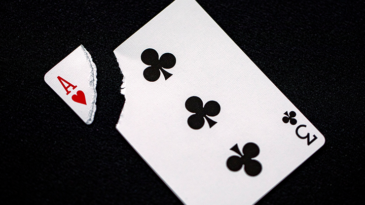 Moser's Miracle Monte – Image 3