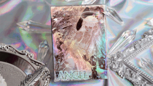 Chromium playing cards - Evokad