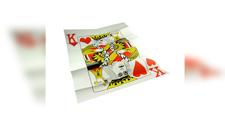 The Magicians Insurance Policy – Image 2