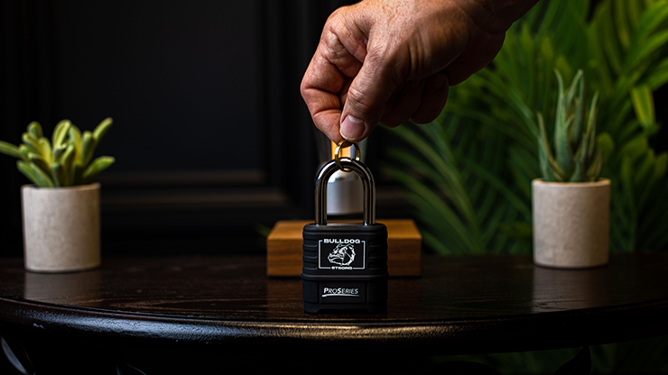 Sure Lock - James Kellogg Jr. – Image 4