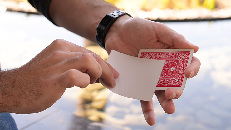 Kid Canvas - Adrian Vega – Image 3