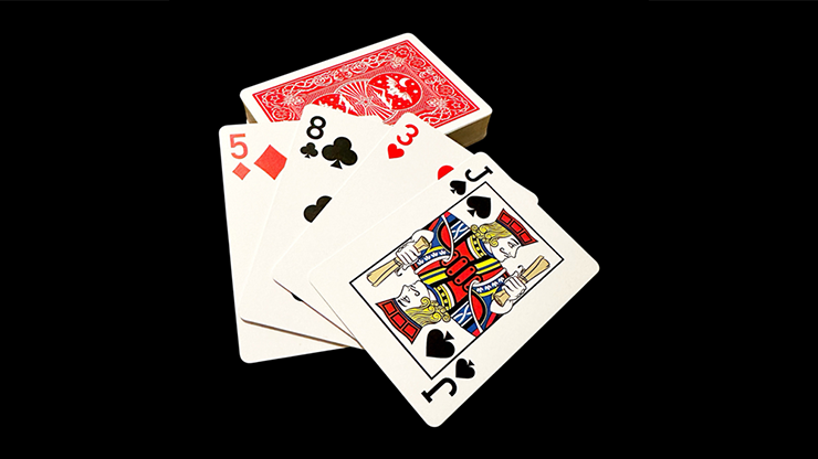 DVK Pro - Steve Dela – Image 2