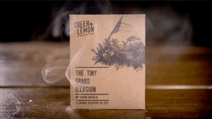 Grand Illusion (Mummy) - Green Lemon