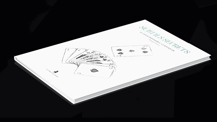 Subtle Secrets 2 - Thibault Ternon