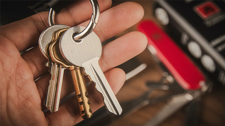 Swiss Key - Nicholas Lawrence and Hanson Chien – Image 3