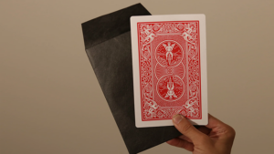 Number 4 Envelope Stage - Blake Vogt