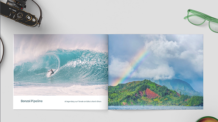 Zandman's Hawaii – Image 2