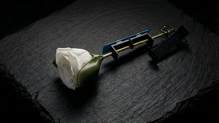 Project H: Rose Holder - J.S.M. Studio & Bacon Magic – Image 3