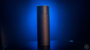 Rise (Gimmick and Online Instructions) - Sean Scott - Trick