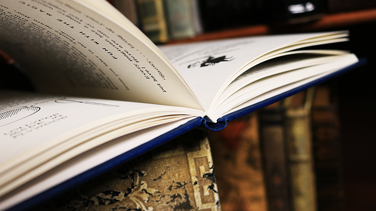 Television Puppet Magic (Limited/Out of Print) - Ian Adair - Book – Image 3