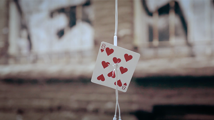 Sonic Stab - Loki Kross - DVD – Image 4