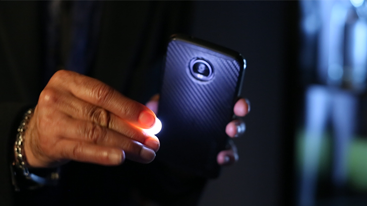 Rocco's Prisma Lites SOUND Single (Bug/White) - Trick – Image 4