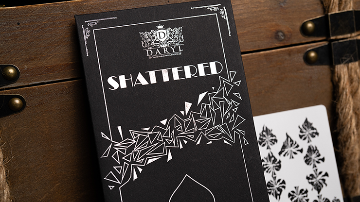 SHATTERED - DARYL – Image 4