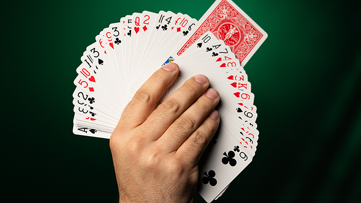 Fiedler's Flier (With Online Instruction) - DARYL - Trick – Image 4