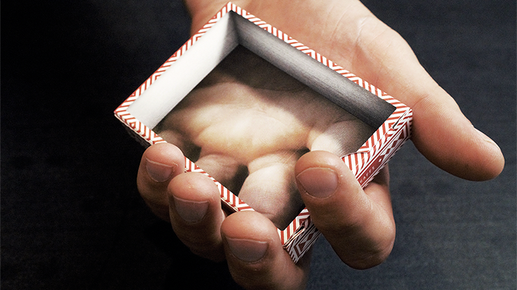 Visualies Gaff System (Gimmicks and Online Instructions) - Mechanic Industries - Trick – Image 2