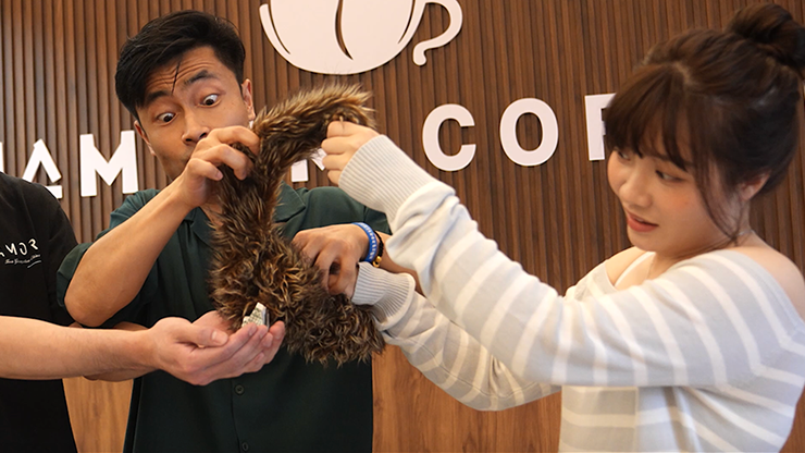 Tricky Raccoon - Liang Kuai & Amor Magic – Image 3