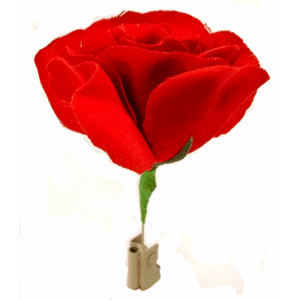 Match to Rose - Mr. Magic - Trick