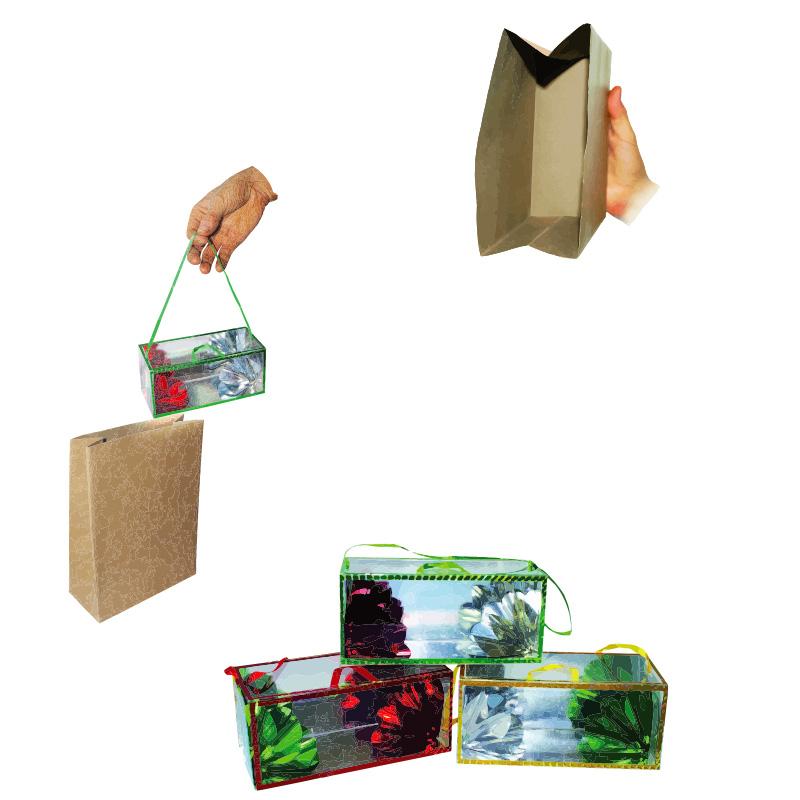 Flowers from Empty Bag – Image 3