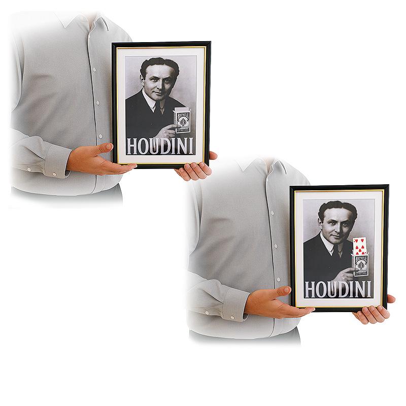 Houdini Prediction Frame – Image 2