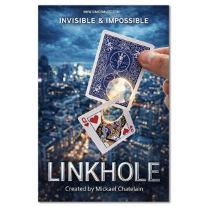 LINKHOLE - Mickael Chatelain