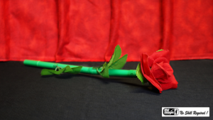 Break Away Rose - Mr. Magic - Trick
