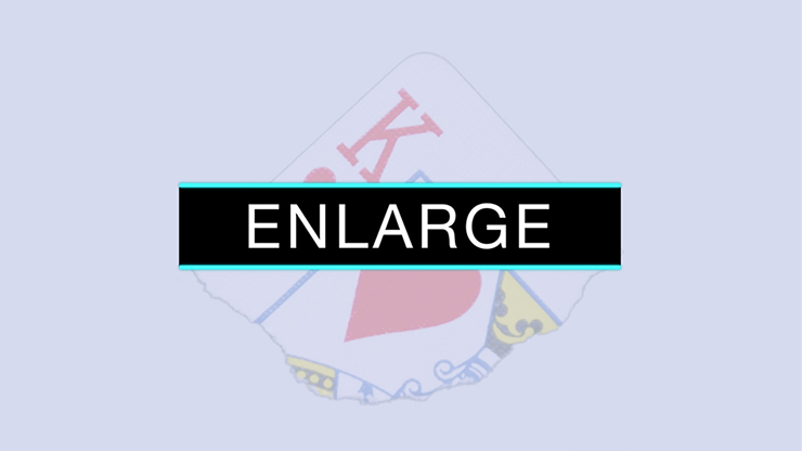 Enlarge (DVD and Gimmicks) - SansMinds