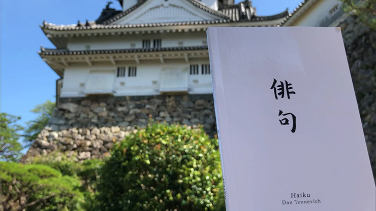 Haiku Book Test 2.0 - Vincent Hedan - Trick – Image 2