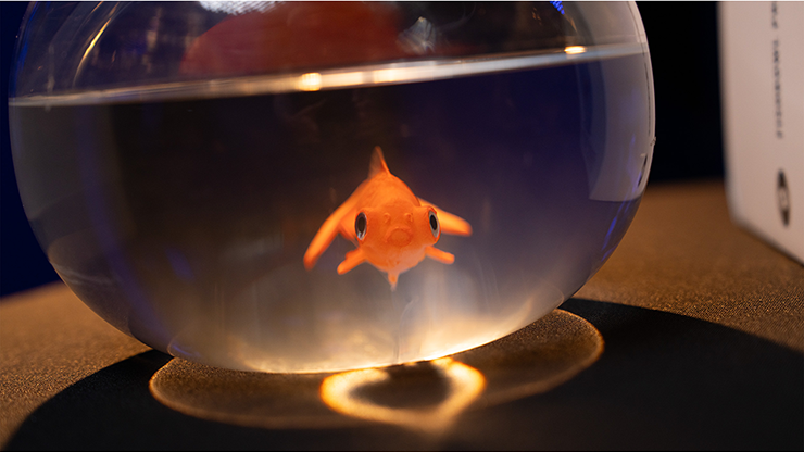 Fishbowl Production - Murphy's Magic – Image 4