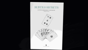 Subtle Secrets 2 - Thibault Ternon