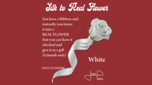 Silk to Real Flower (White) - Juan Pablo
