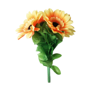 Amazing Split Sunflower - Premium Magic - Trick