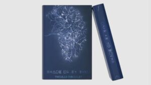 Shades of my mind - Vol 1 - Thomas Riboulet
