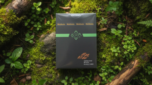 North Wind Beacon Playing Cards - WohStudios