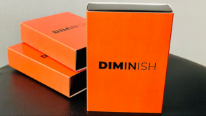 Diminish - Damian Surr