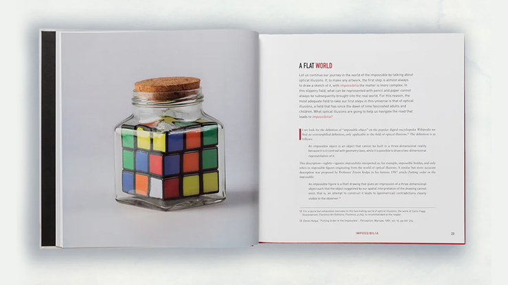 Impossibilia - Davide Fumagalli – Image 3