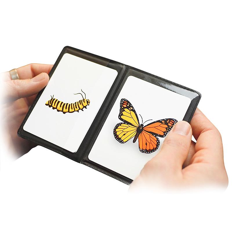CaterFly - Magical Project – Image 3