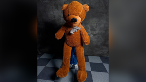 Teddy Bear Appearance (Extra Large) - MS Magic