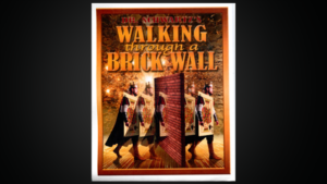 Walking Thru a Brick Wall - Martin Schwartz