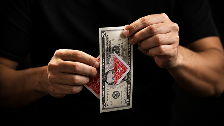 PUSH PLUS - Sultan Orazaly – Image 3