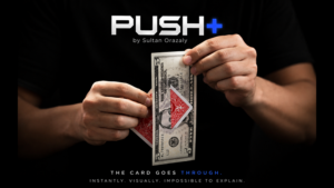 PUSH PLUS - Sultan Orazaly