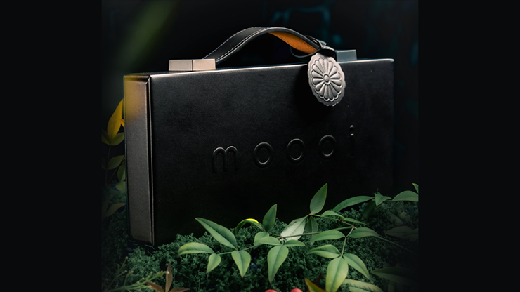 Mooi Collector's Edition BOXSET - theory11 – Image 4