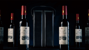 Miracle Wine Bottles Carrying Bag - TCC