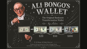 Ali Bongo's Wallet (Brown) - Astor